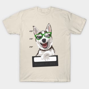 Husky Lover T-Shirt